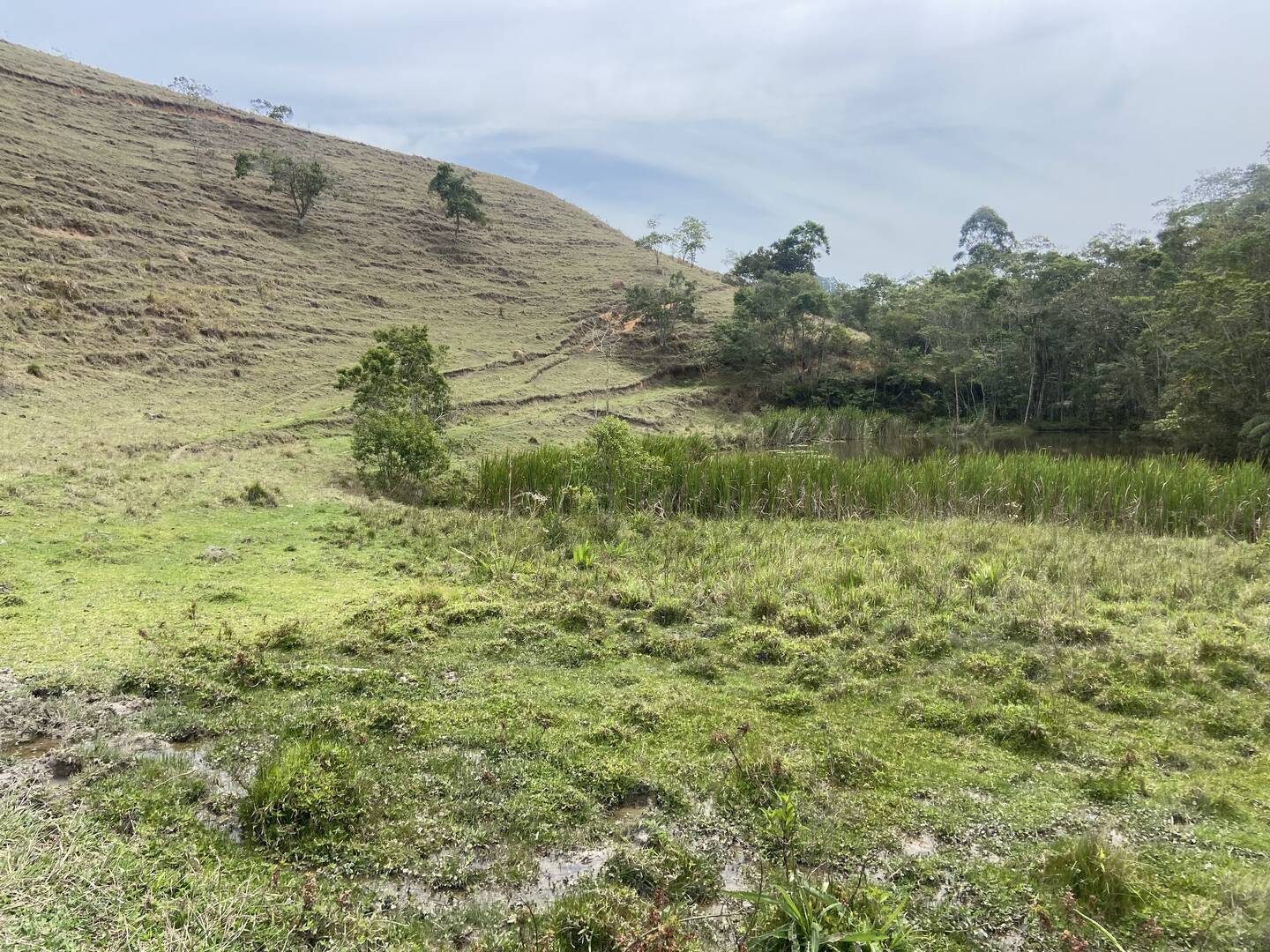 Sítio em São Luíz do Paraitinga/São Paulo — Ref 3DA4ED — Imagem 7