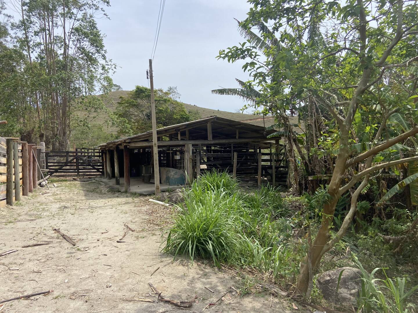 Sítio em São Luíz do Paraitinga/São Paulo — Ref 3DA4ED — Imagem 8