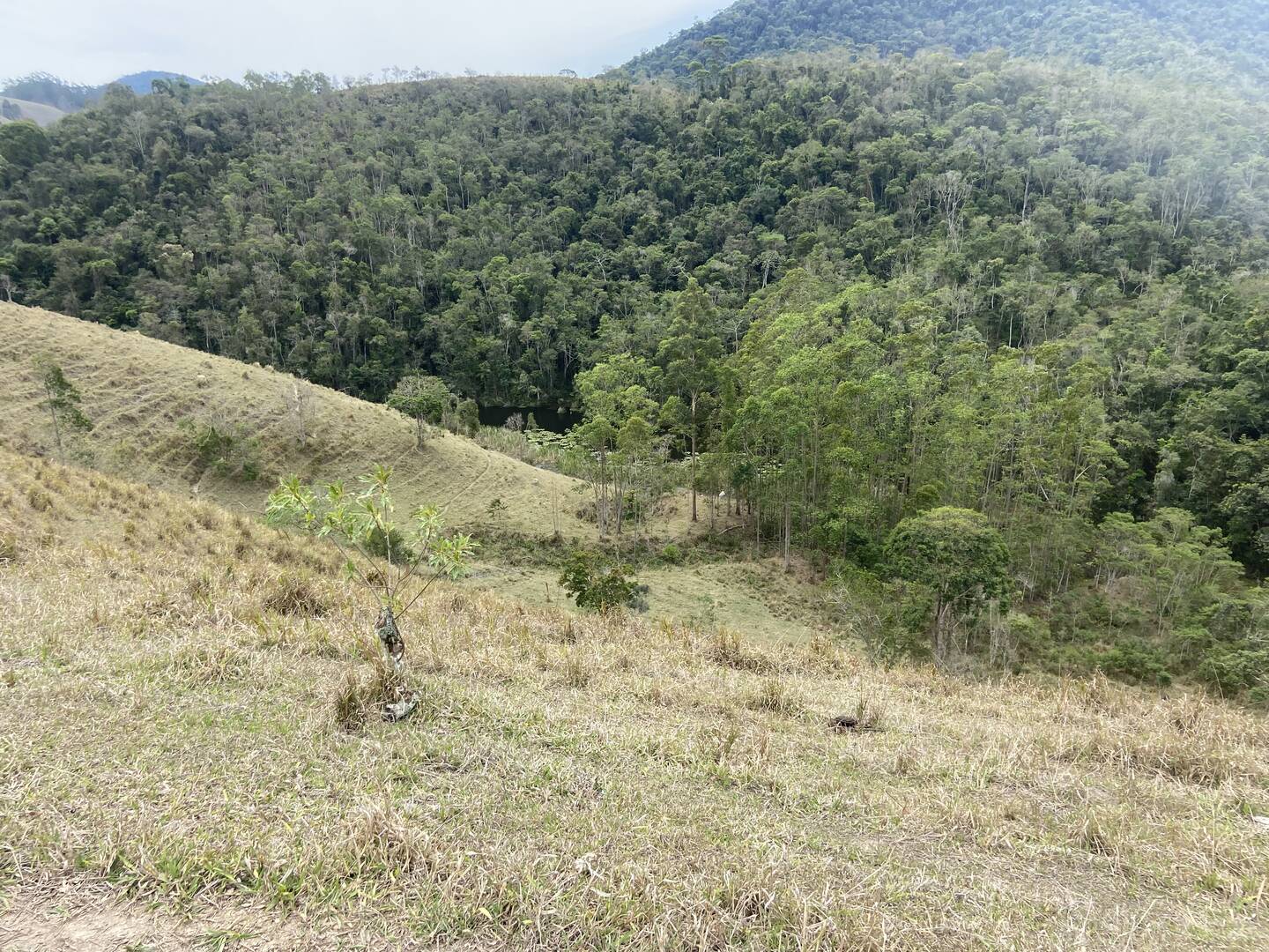 Sítio em São Luíz do Paraitinga/São Paulo — Ref 3DA4ED — Imagem 9