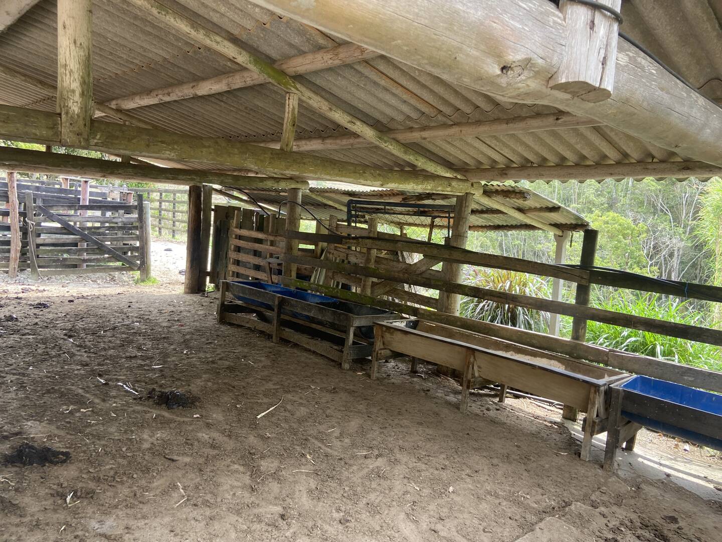 Sítio em São Luíz do Paraitinga/São Paulo — Ref 3DA4ED — Imagem 10