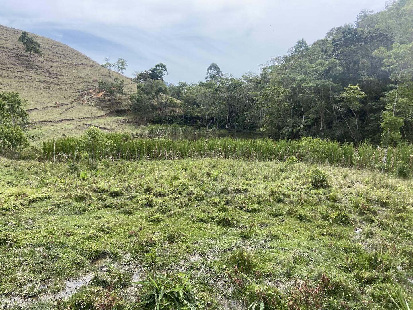 Sítio em São Luíz do Paraitinga/São Paulo — Ref 3DA4ED — Imagem 13