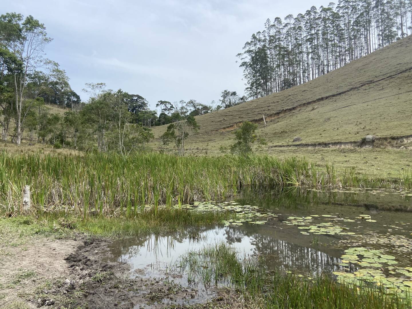 Sítio em São Luíz do Paraitinga/São Paulo — Ref 3DA4ED — Imagem 18