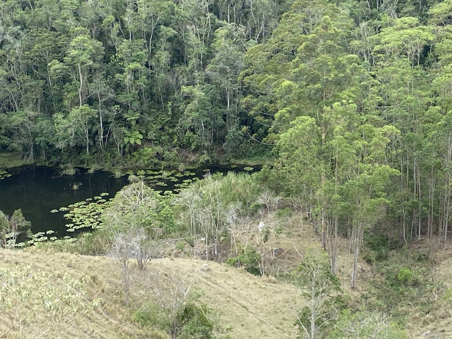 Sítio em São Luíz do Paraitinga/São Paulo — Ref 3DA4ED — Imagem 22