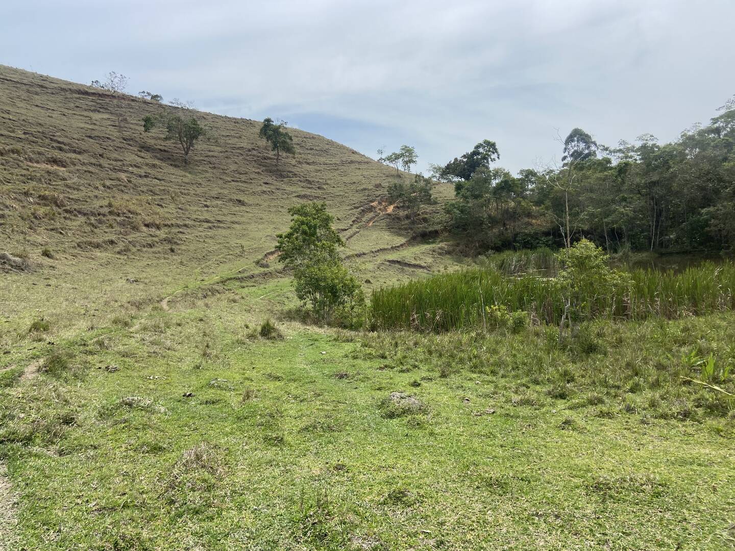 Sítio em São Luíz do Paraitinga/São Paulo — Ref 3DA4ED — Imagem 28