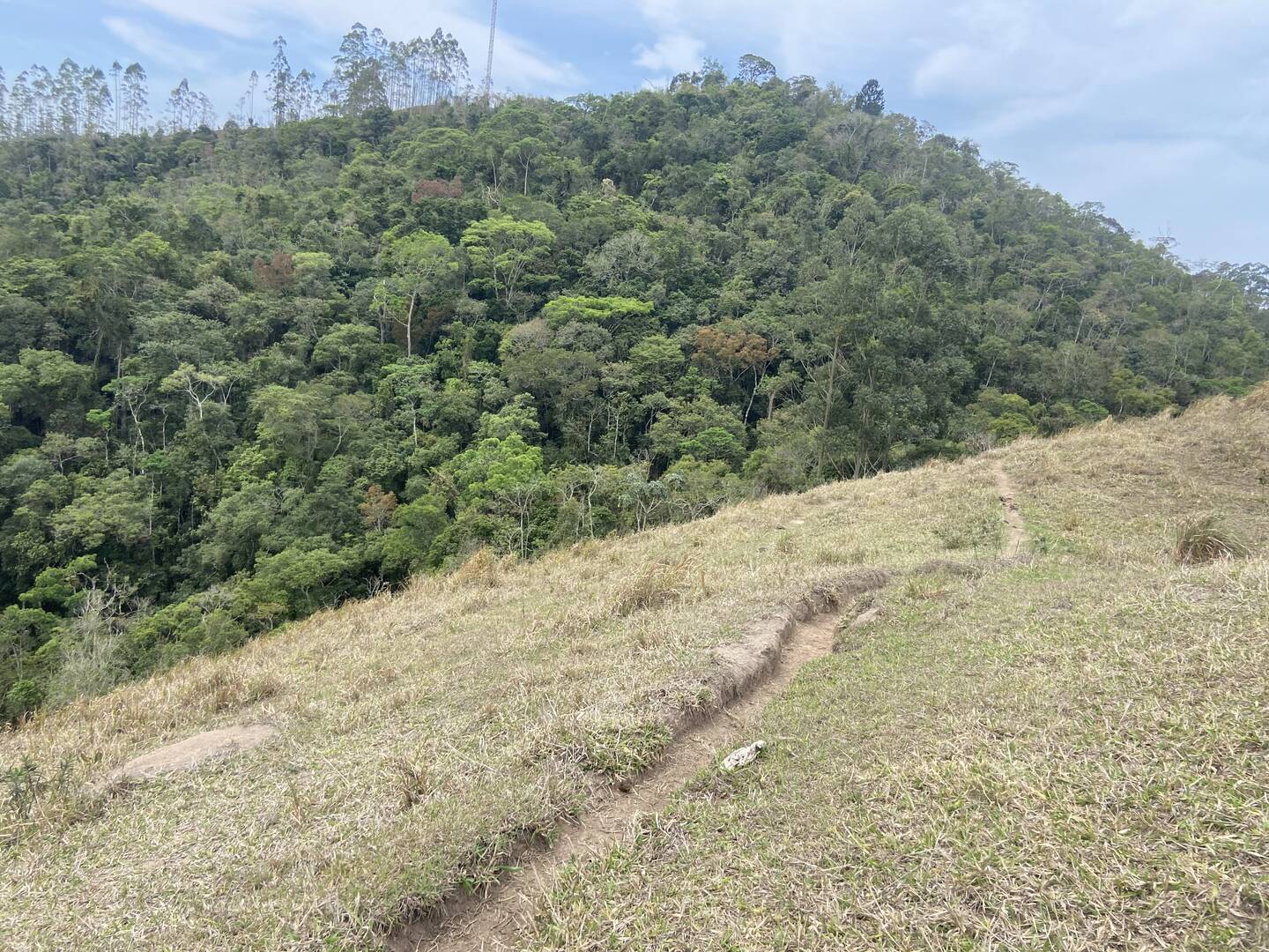 Sítio em São Luíz do Paraitinga/São Paulo — Ref 3DA4ED — Imagem 29