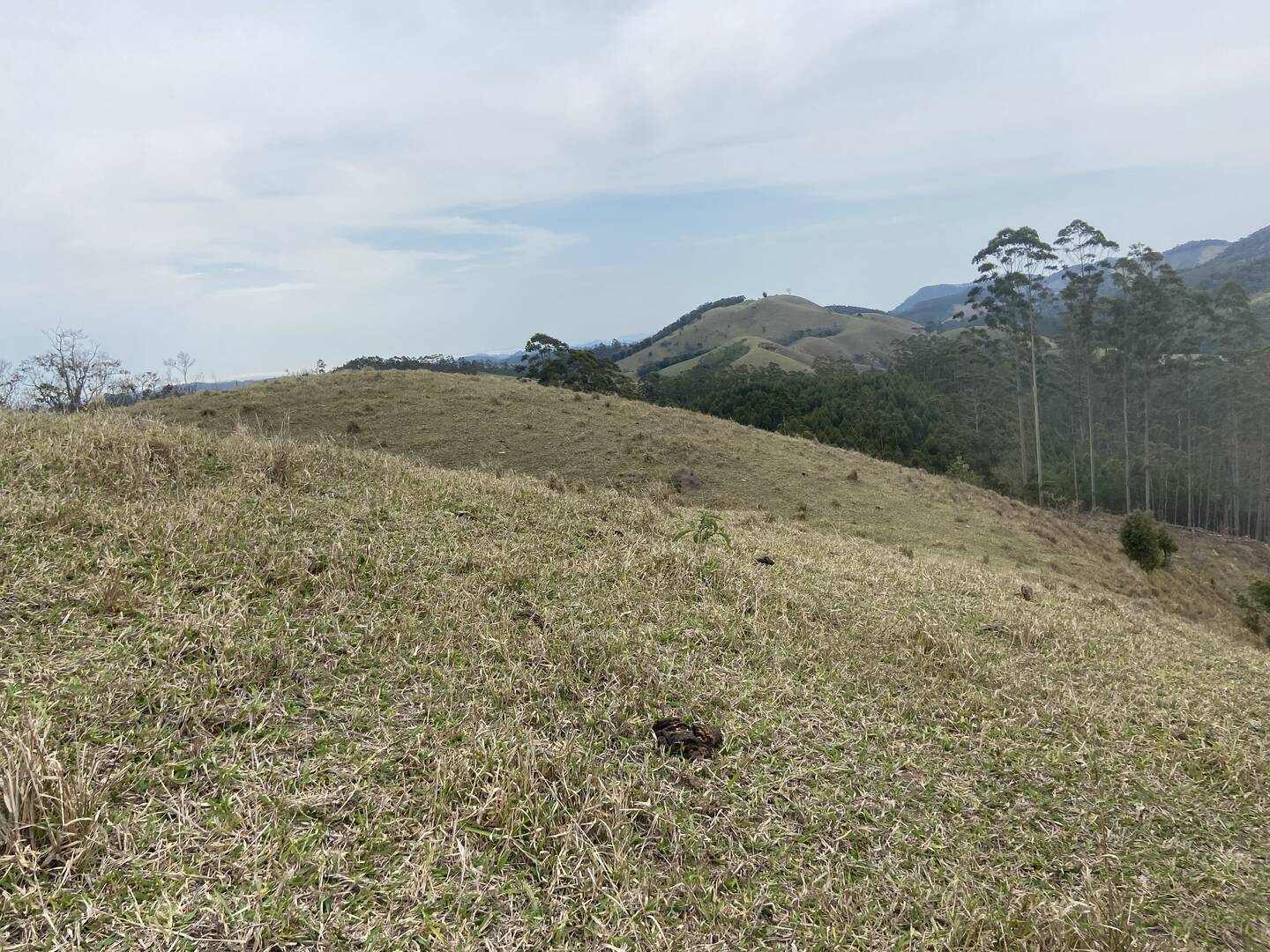 Sítio em São Luíz do Paraitinga/São Paulo — Ref 3DA4ED — Imagem 30