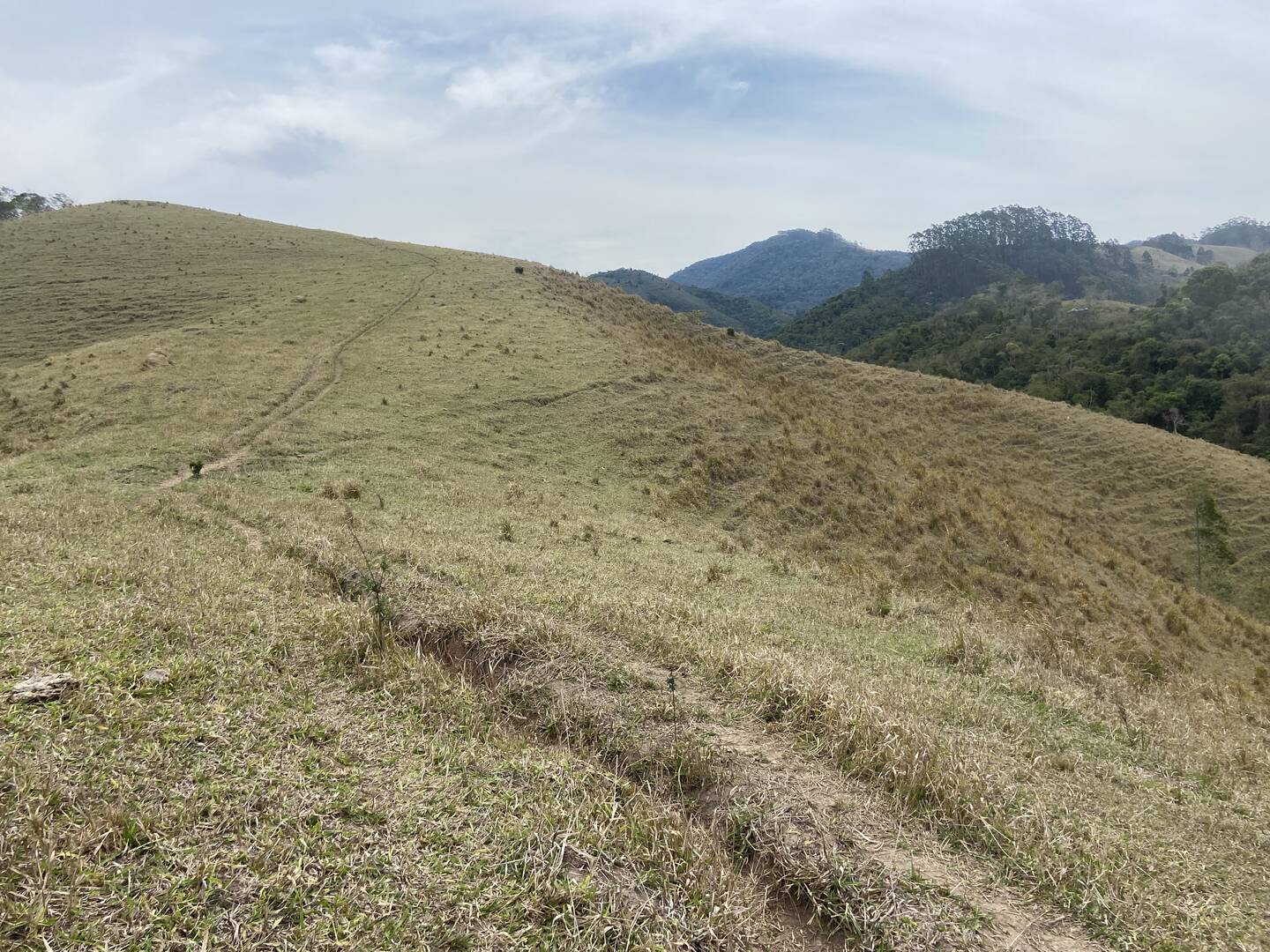 Sítio em São Luíz do Paraitinga/São Paulo — Ref 3DA4ED — Imagem 31