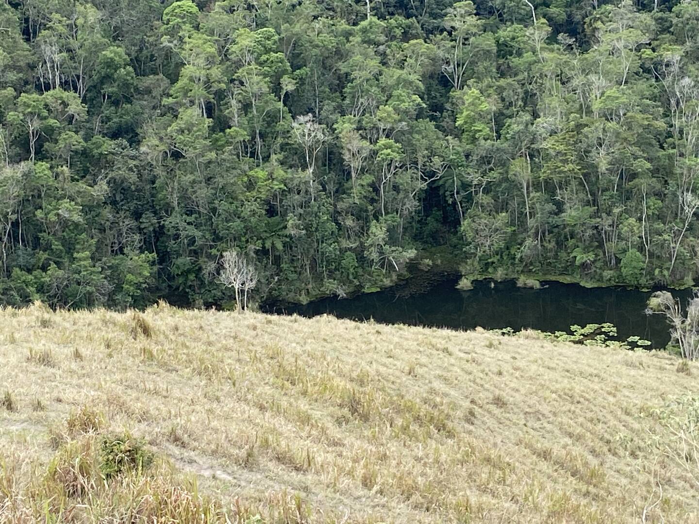 Sítio em São Luíz do Paraitinga/São Paulo — Ref 3DA4ED — Imagem 34