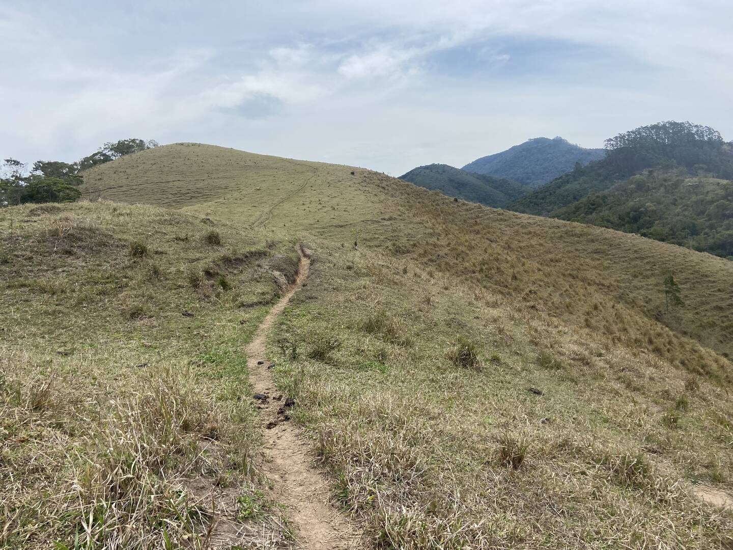 Sítio em São Luíz do Paraitinga/São Paulo — Ref 3DA4ED — Imagem 35