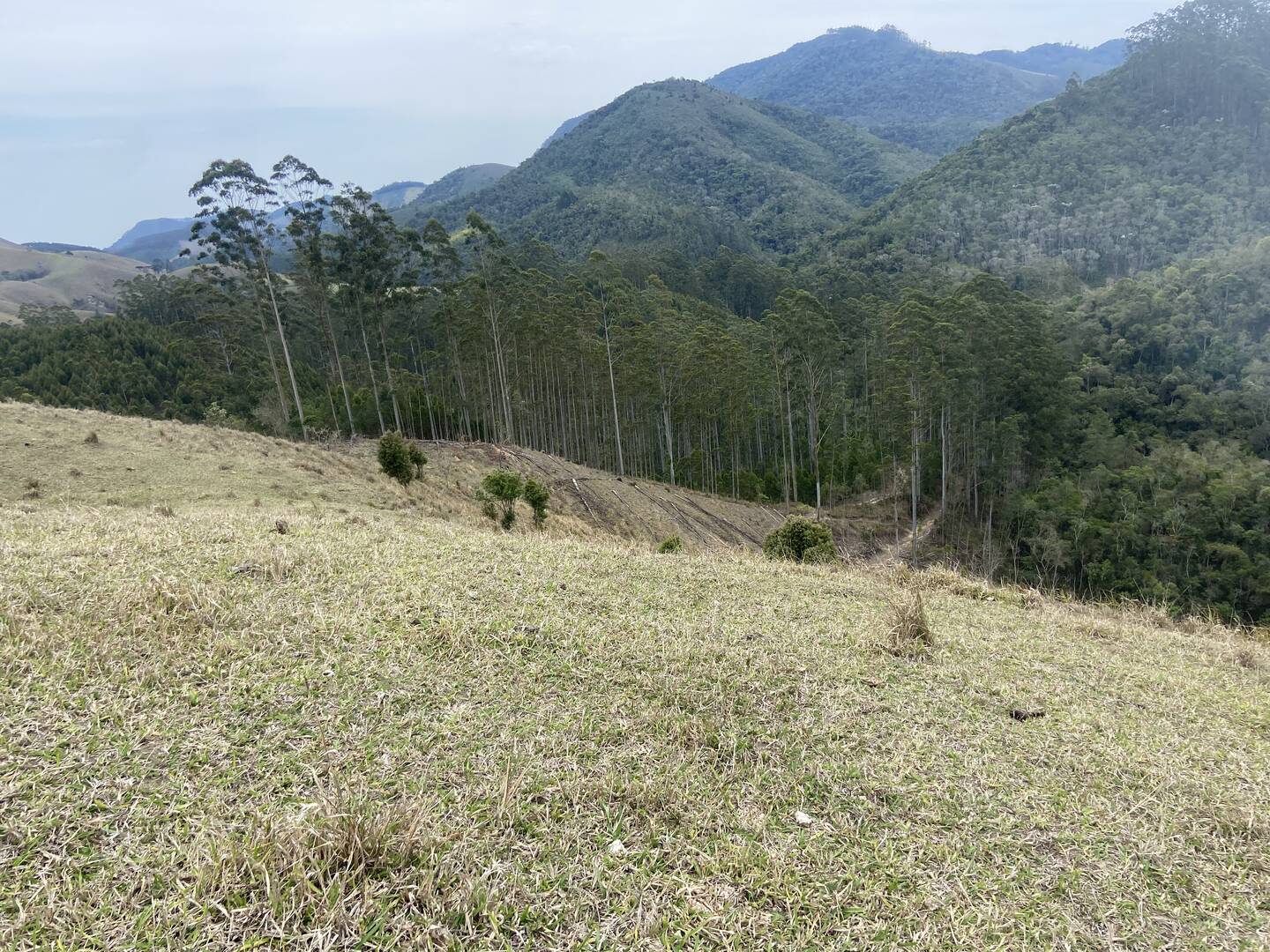 Sítio em São Luíz do Paraitinga/São Paulo — Ref 3DA4ED — Imagem 36