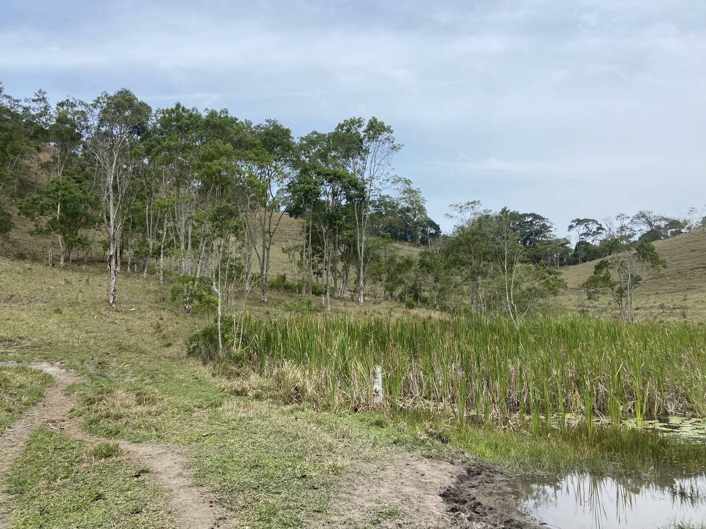 Sítio em São Luíz do Paraitinga/São Paulo — Ref 3DA4ED — Imagem 37