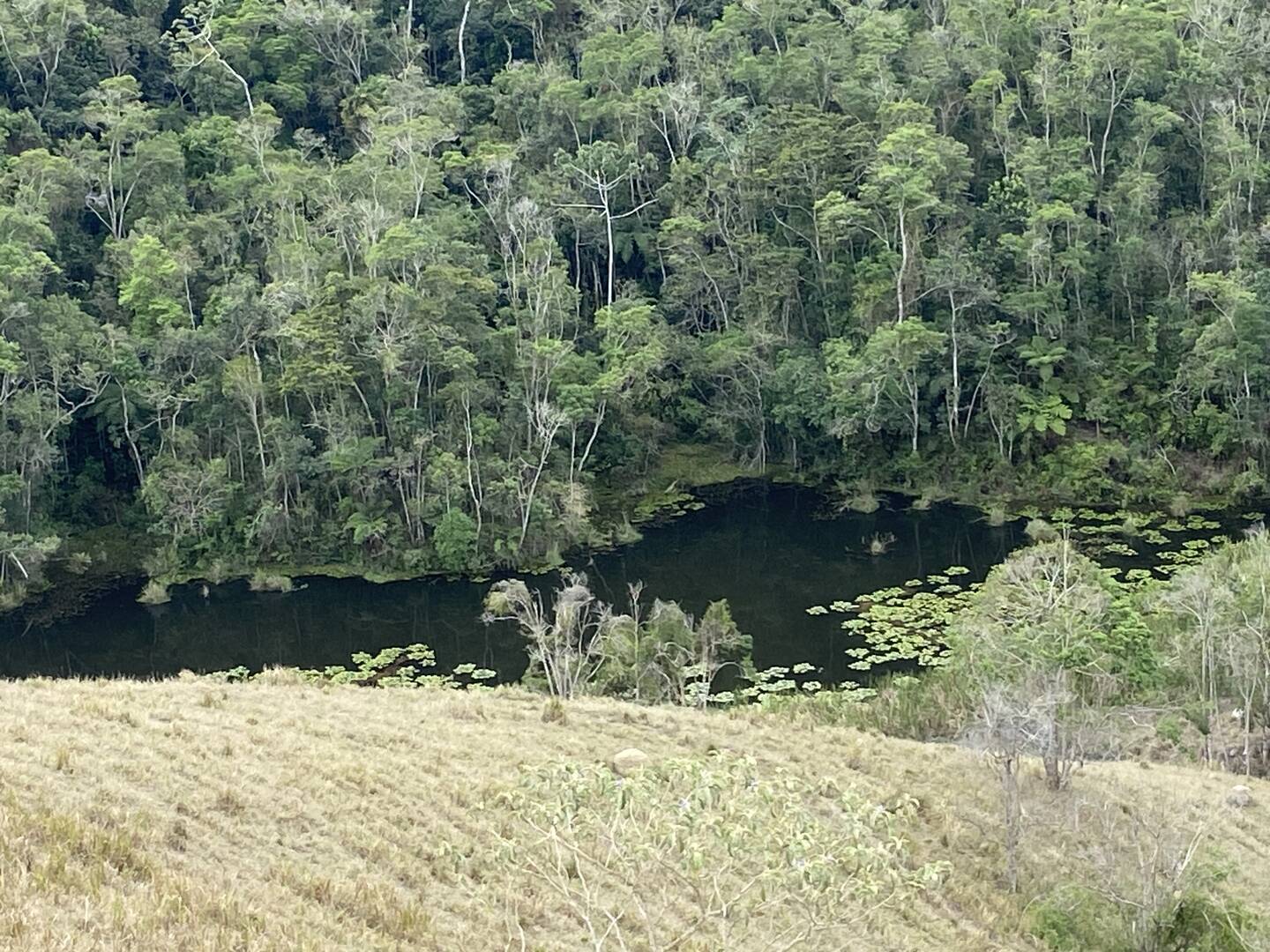 Sítio em São Luíz do Paraitinga/São Paulo — Ref 3DA4ED — Imagem 38