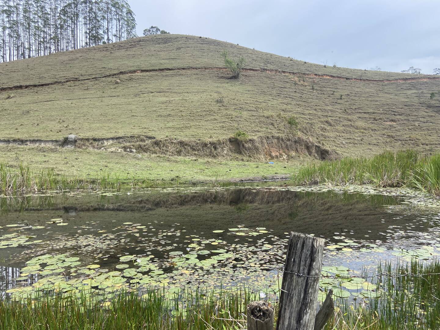 Sítio em São Luíz do Paraitinga/São Paulo — Ref 3DA4ED — Imagem 39