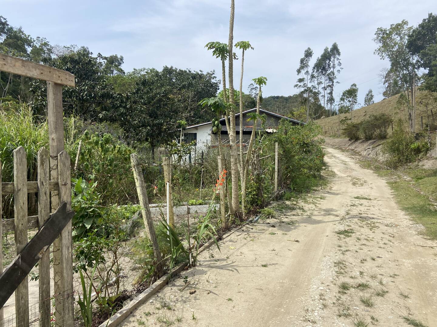 Sítio em São Luíz do Paraitinga/São Paulo — Ref 3DA4ED — Imagem 41