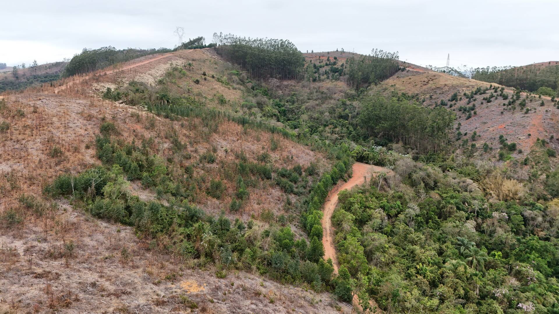 Fazenda em Cruzeiro/São Paulo — Ref WTU0KG — Imagem 4