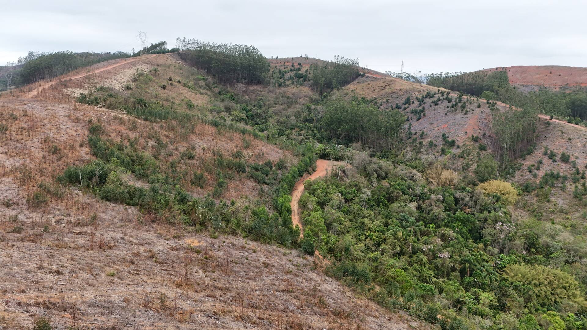 Fazenda em Cruzeiro/São Paulo — Ref WTU0KG — Imagem 5