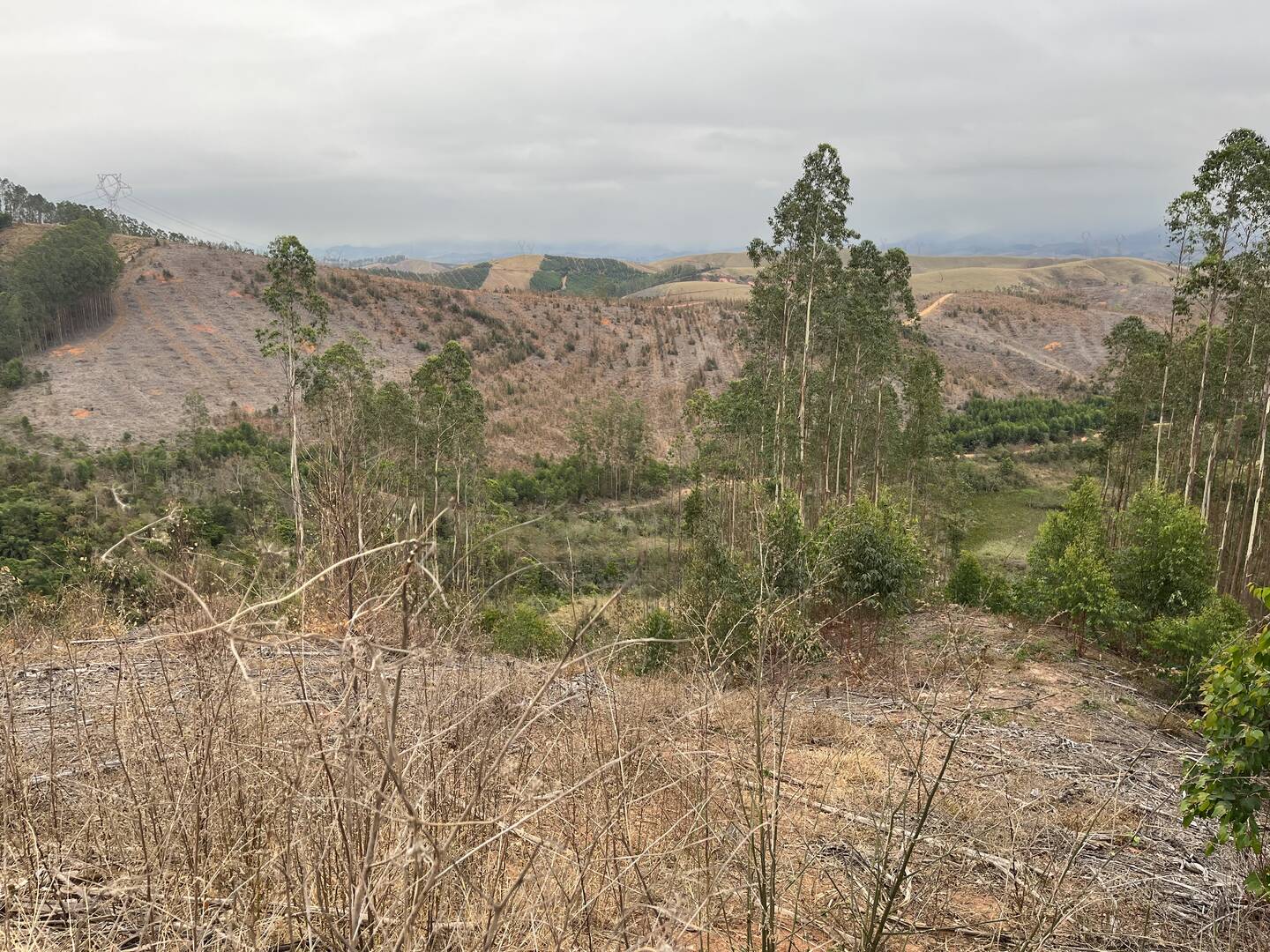 Fazenda em Cruzeiro/São Paulo — Ref WTU0KG — Imagem 10