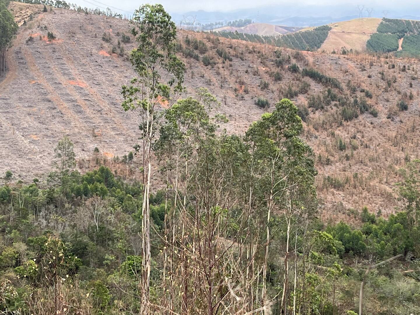 Fazenda em Cruzeiro/São Paulo — Ref WTU0KG — Imagem 11