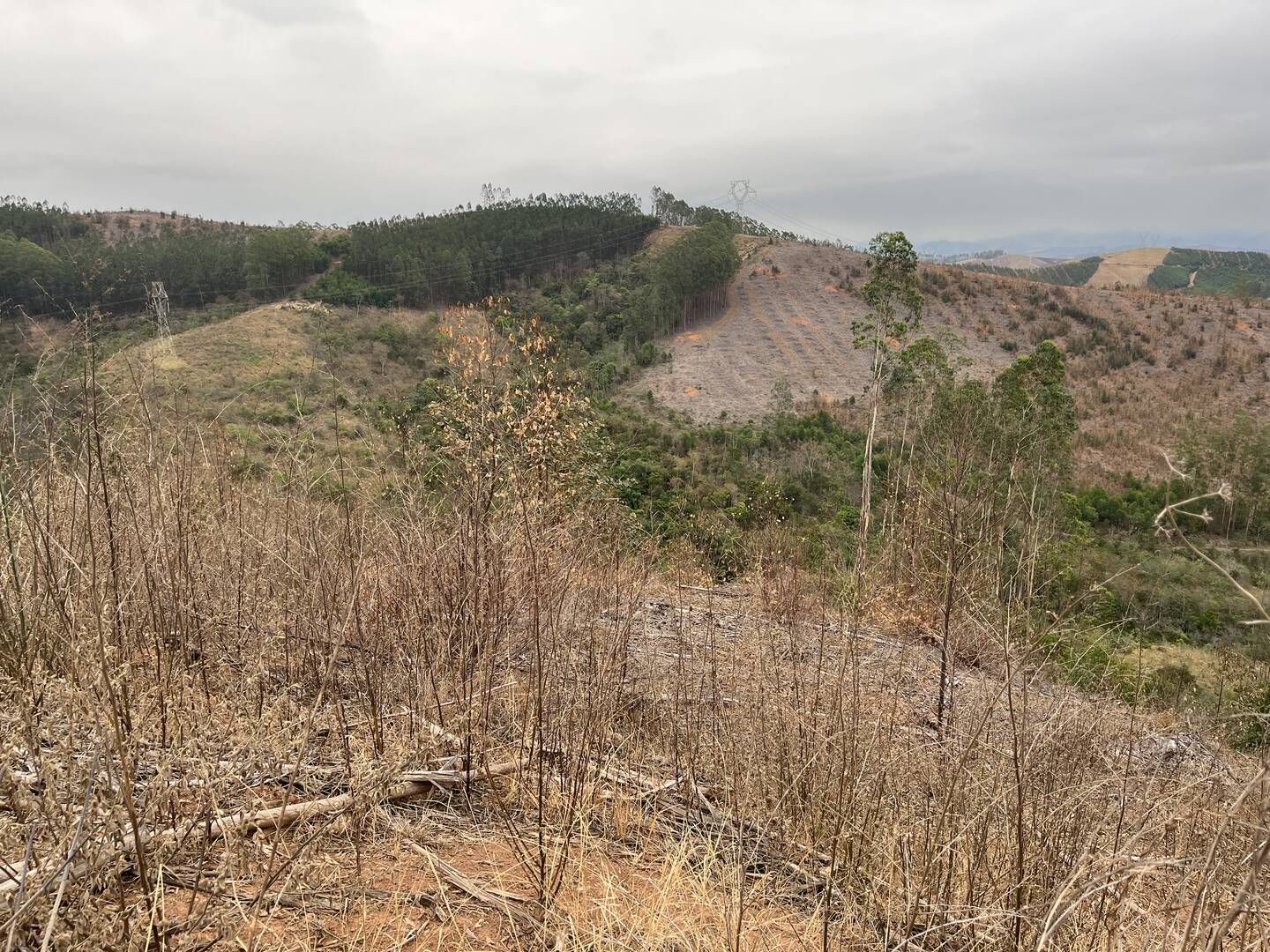Fazenda em Cruzeiro/São Paulo — Ref WTU0KG — Imagem 12