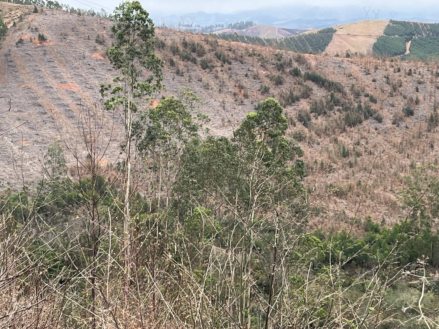 Fazenda em Cruzeiro/São Paulo — Ref WTU0KG — Imagem 13