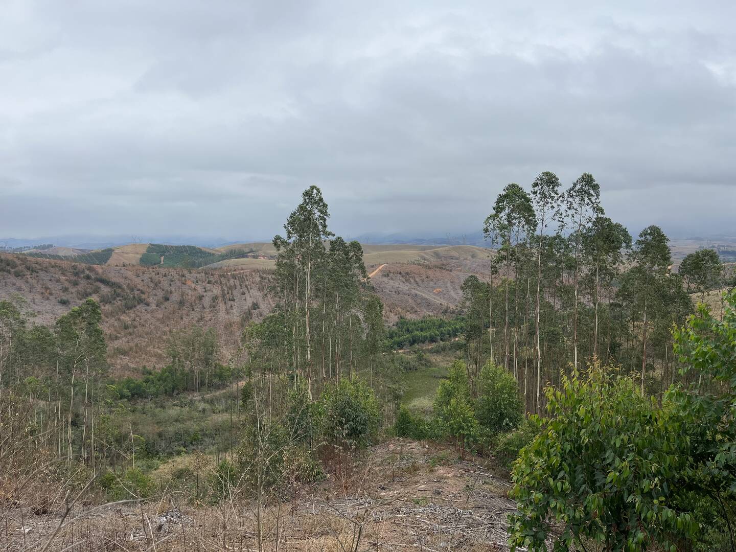 Fazenda em Cruzeiro/São Paulo — Ref WTU0KG — Imagem 14