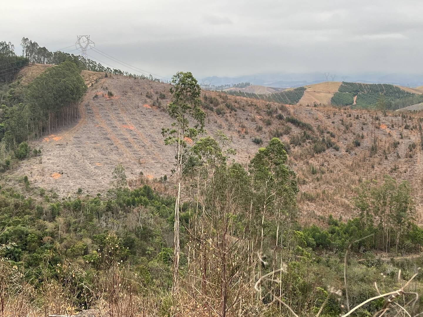 Fazenda em Cruzeiro/São Paulo — Ref WTU0KG — Imagem 15