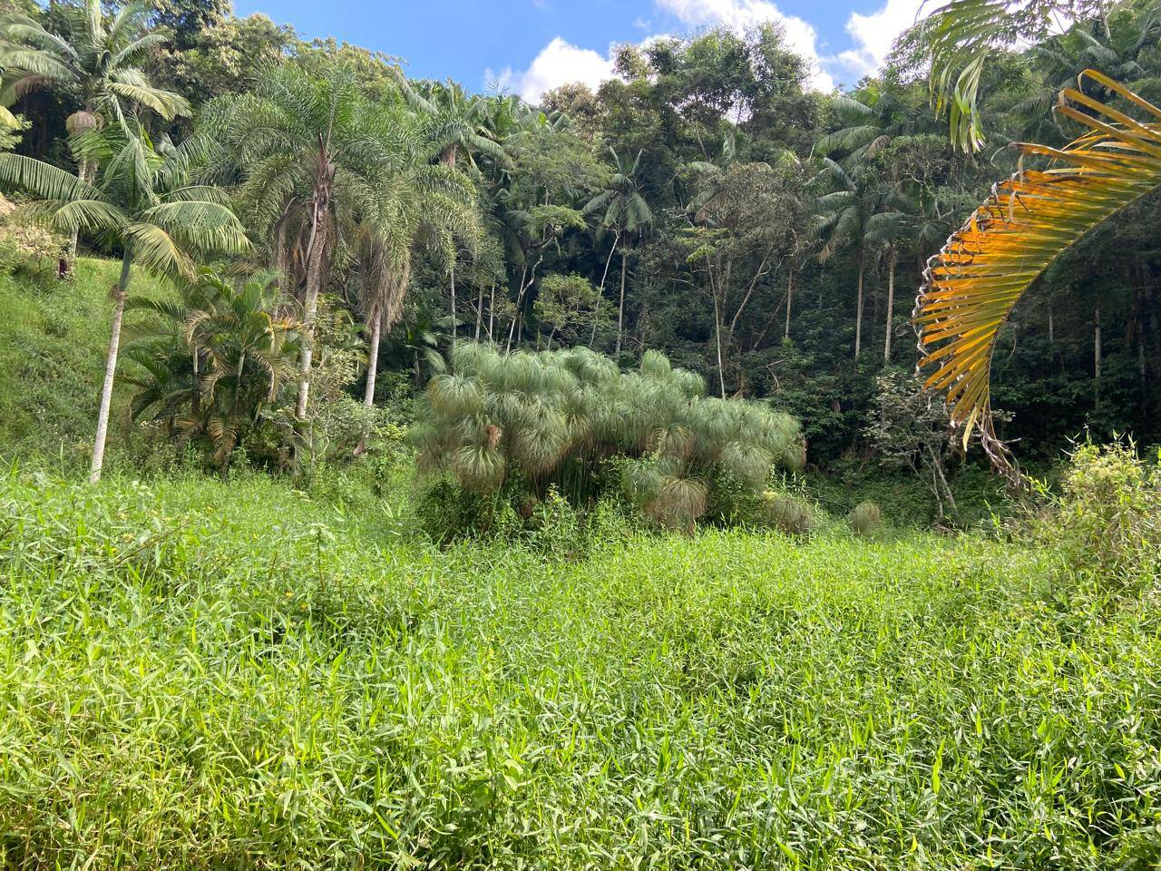 Chácara em São José dos Campos/São Paulo — Ref R15CWZ — Imagem 9