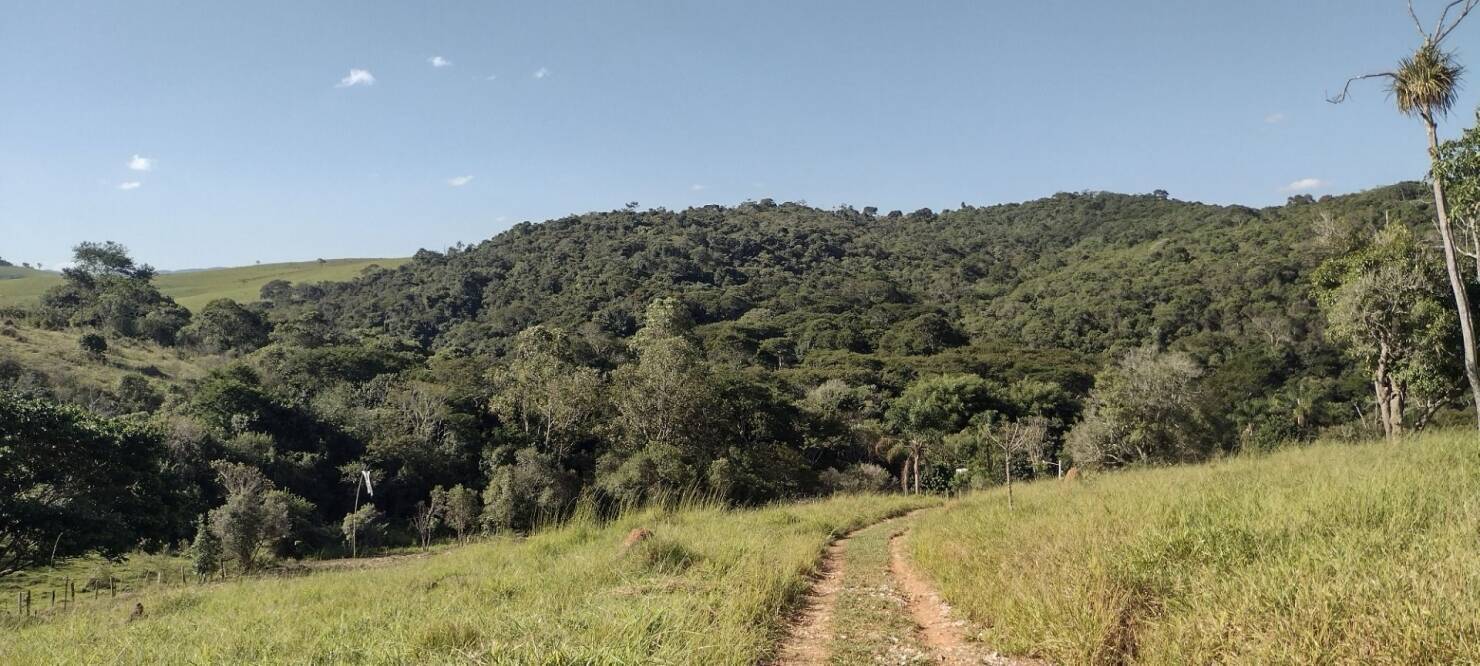 Sítio em São Luiz do Paraitinga/São Paulo — Ref 1JJ60F — Imagem 8