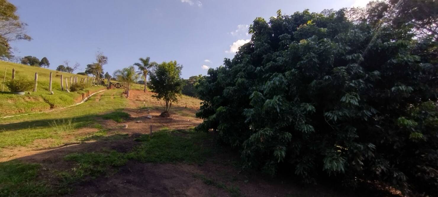 Sítio, 2 quartos, 150 m² - Foto 2