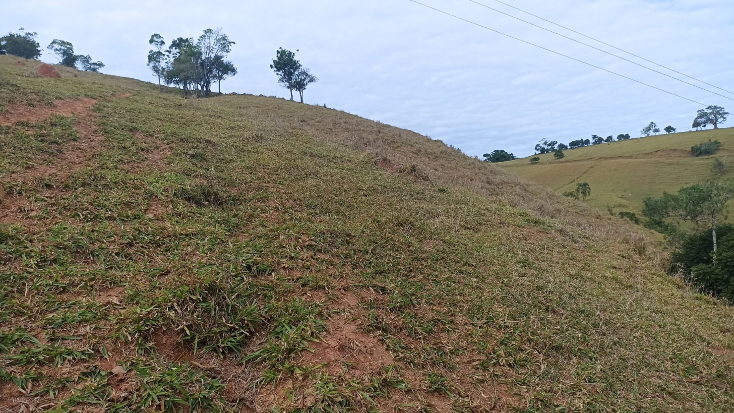 Sítio, 3 quartos, 7 hectares - Foto 5