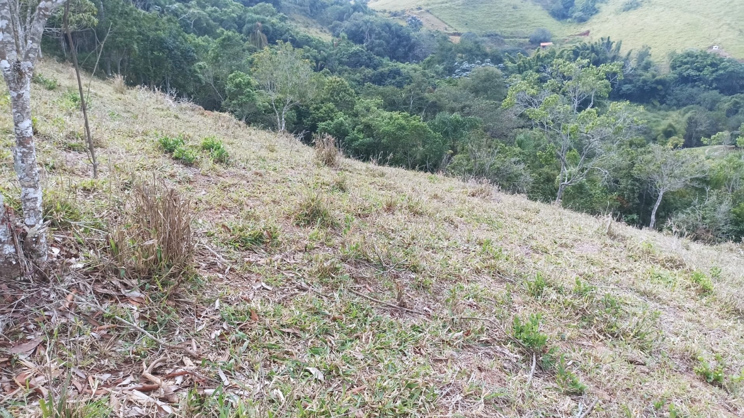 Sítio em Paraibuna/São Paulo — Ref G4FPZF — Imagem 7