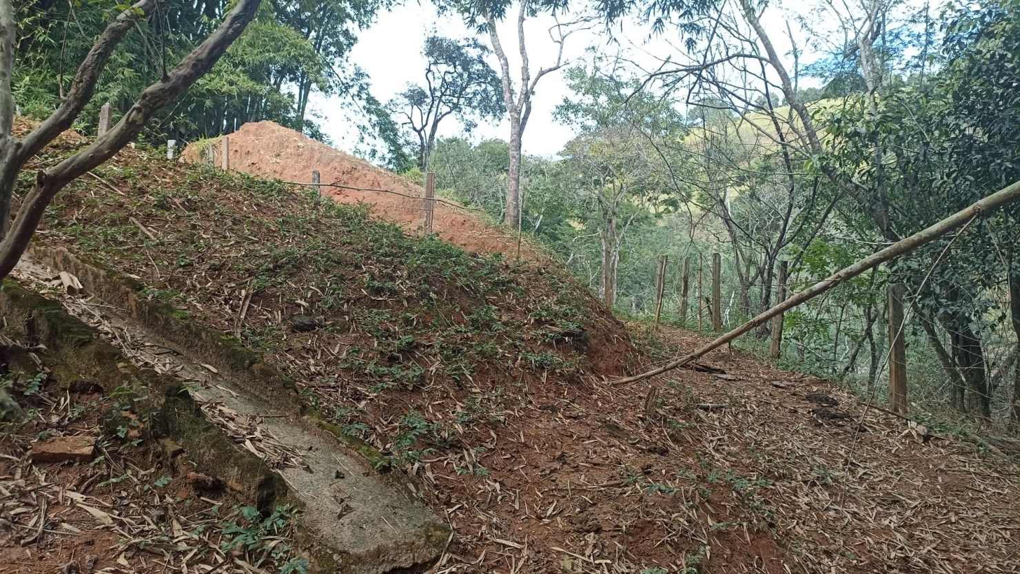 Sítio em Paraibuna/São Paulo — Ref G4FPZF — Imagem 13