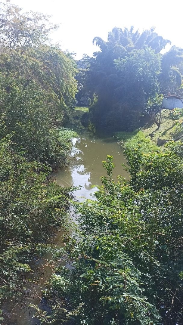 Sítio, 3 quartos, 7 hectares - Foto 2