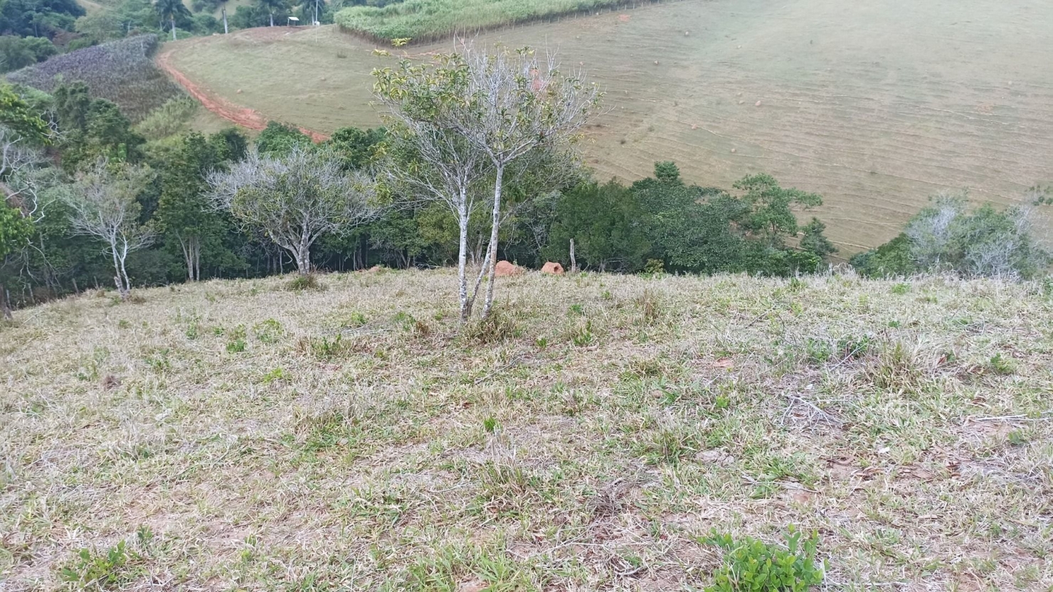 Sítio em Paraibuna/São Paulo — Ref G4FPZF — Imagem 21