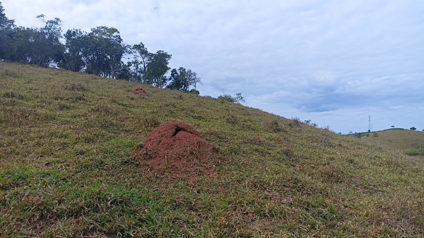 Sítio em Paraibuna/São Paulo — Ref G4FPZF — Imagem 20
