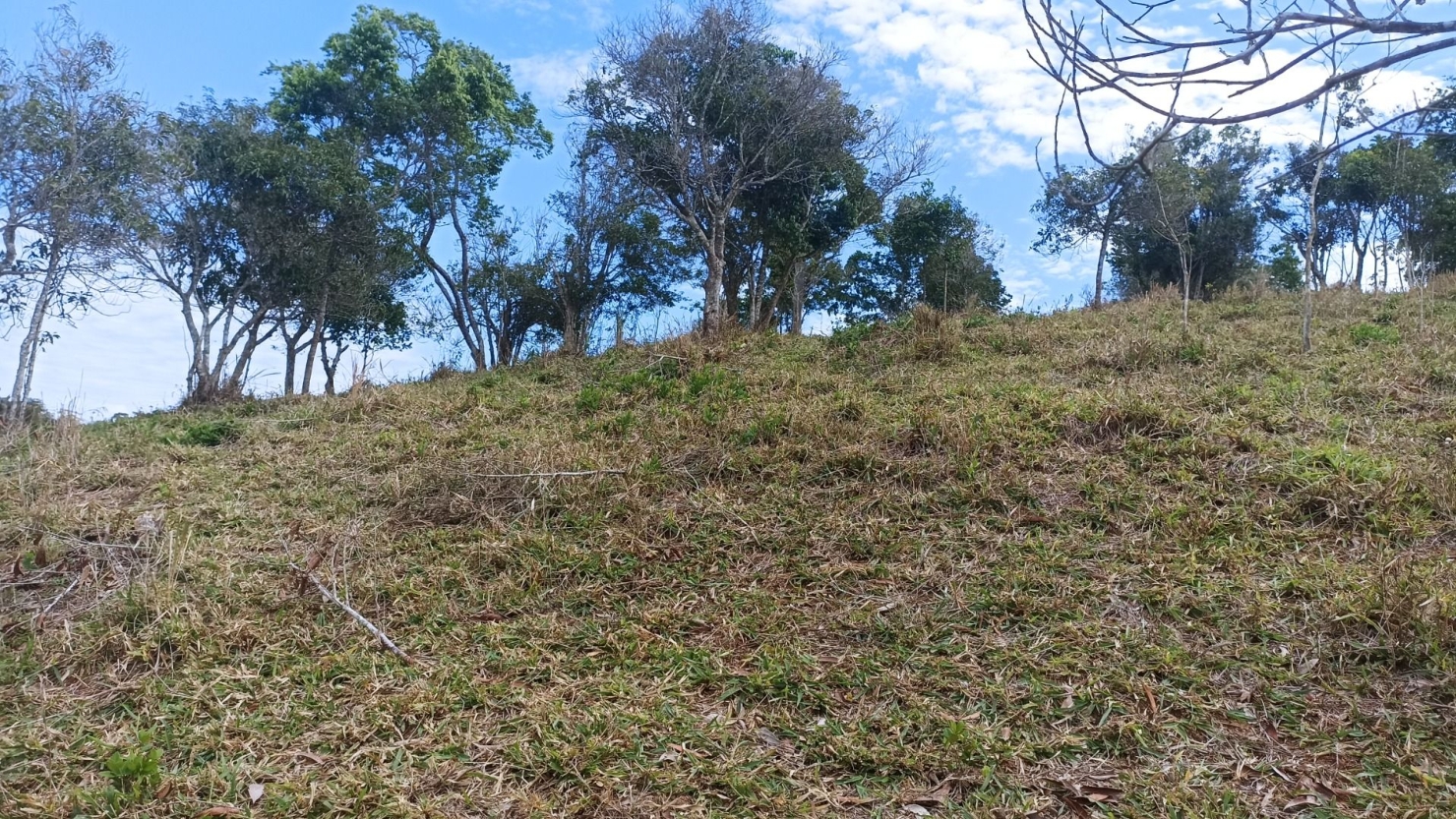 Sítio em Paraibuna/São Paulo — Ref G4FPZF — Imagem 22