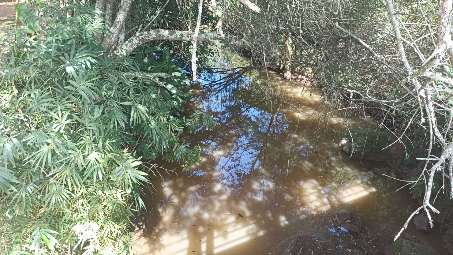 Sítio em Paraibuna/São Paulo — Ref G4FPZF — Imagem 25