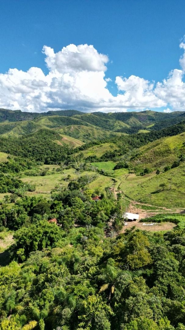 Sítio, 1 quarto, 100 m² - Foto 5