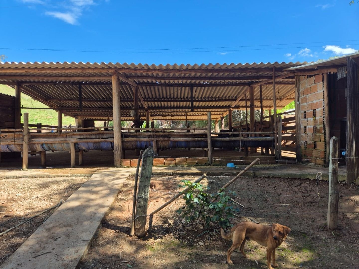 Sítio em Silveiras/São Paulo — Ref 5BQFXV — Imagem 11