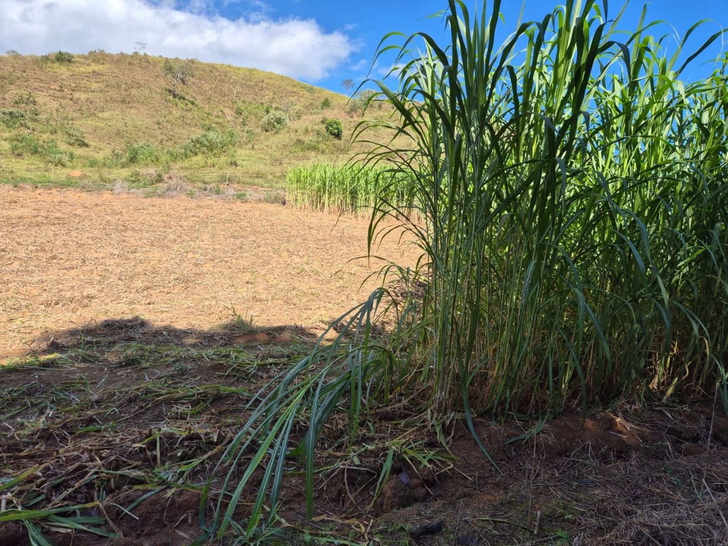 Sítio em Silveiras/São Paulo — Ref 5BQFXV — Imagem 14