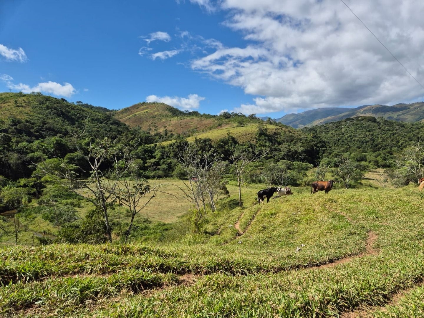 Sítio em Silveiras/São Paulo — Ref 5BQFXV — Imagem 16