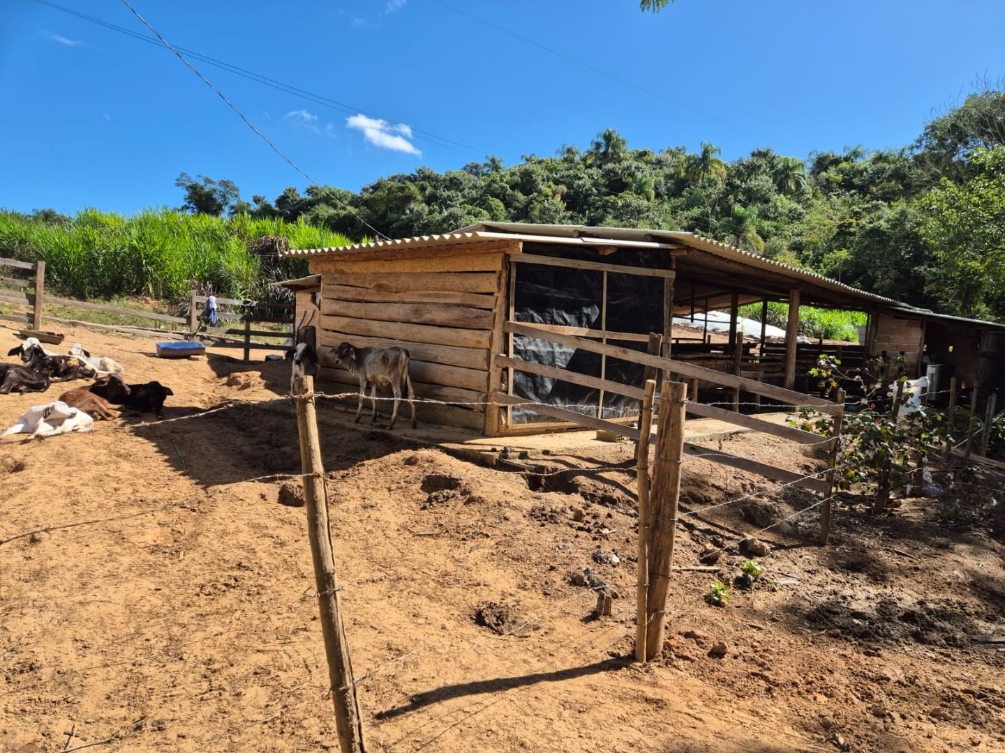 Sítio em Silveiras/São Paulo — Ref 5BQFXV — Imagem 12