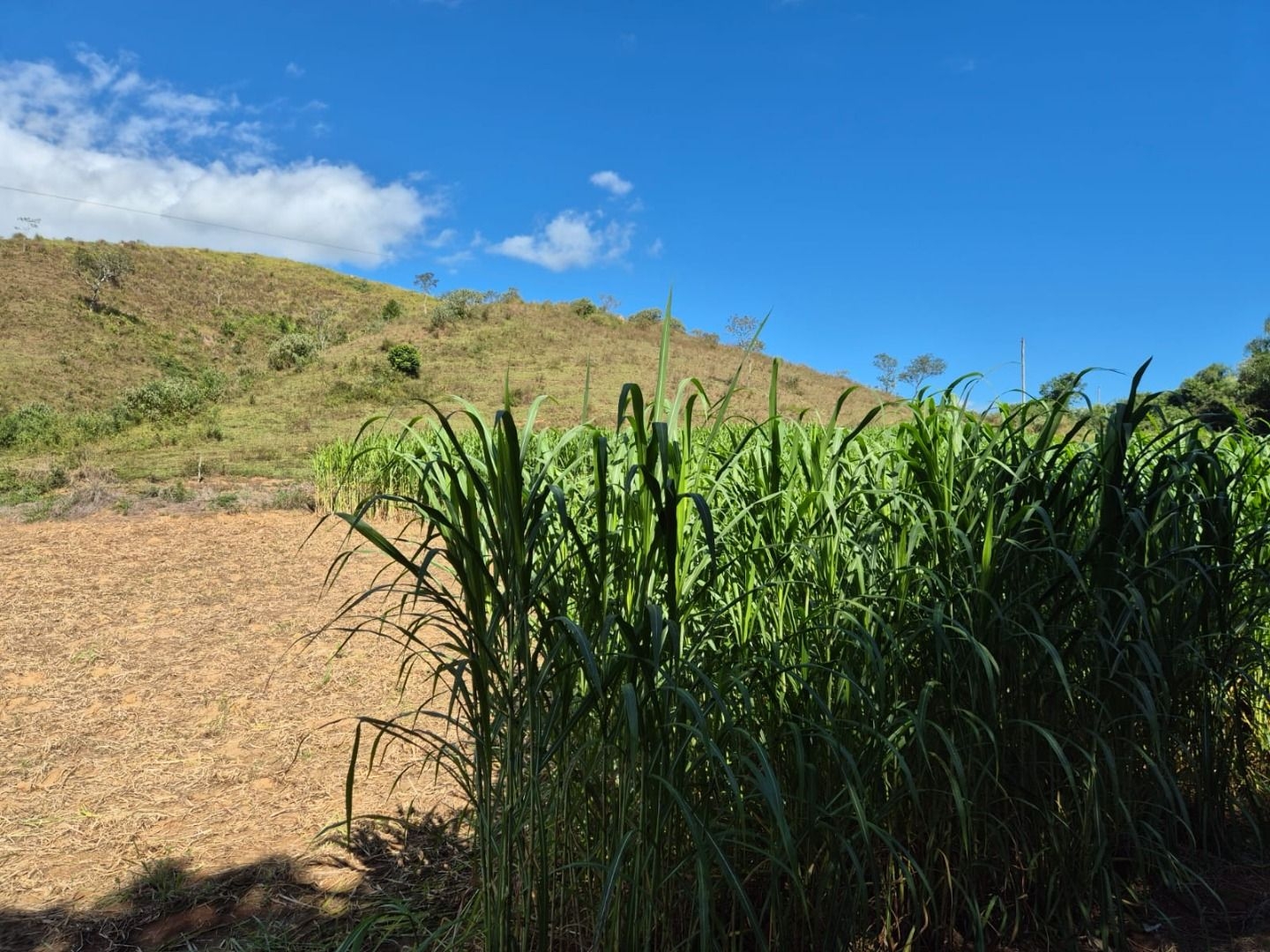 Sítio em Silveiras/São Paulo — Ref 5BQFXV — Imagem 18