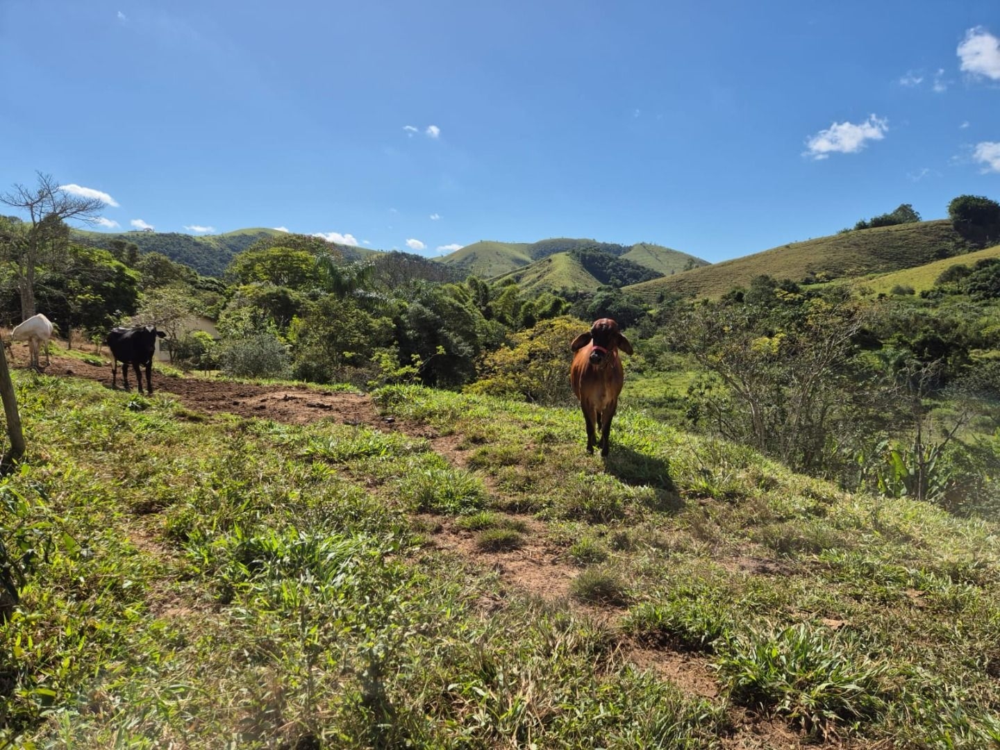 Sítio em Silveiras/São Paulo — Ref 5BQFXV — Imagem 21