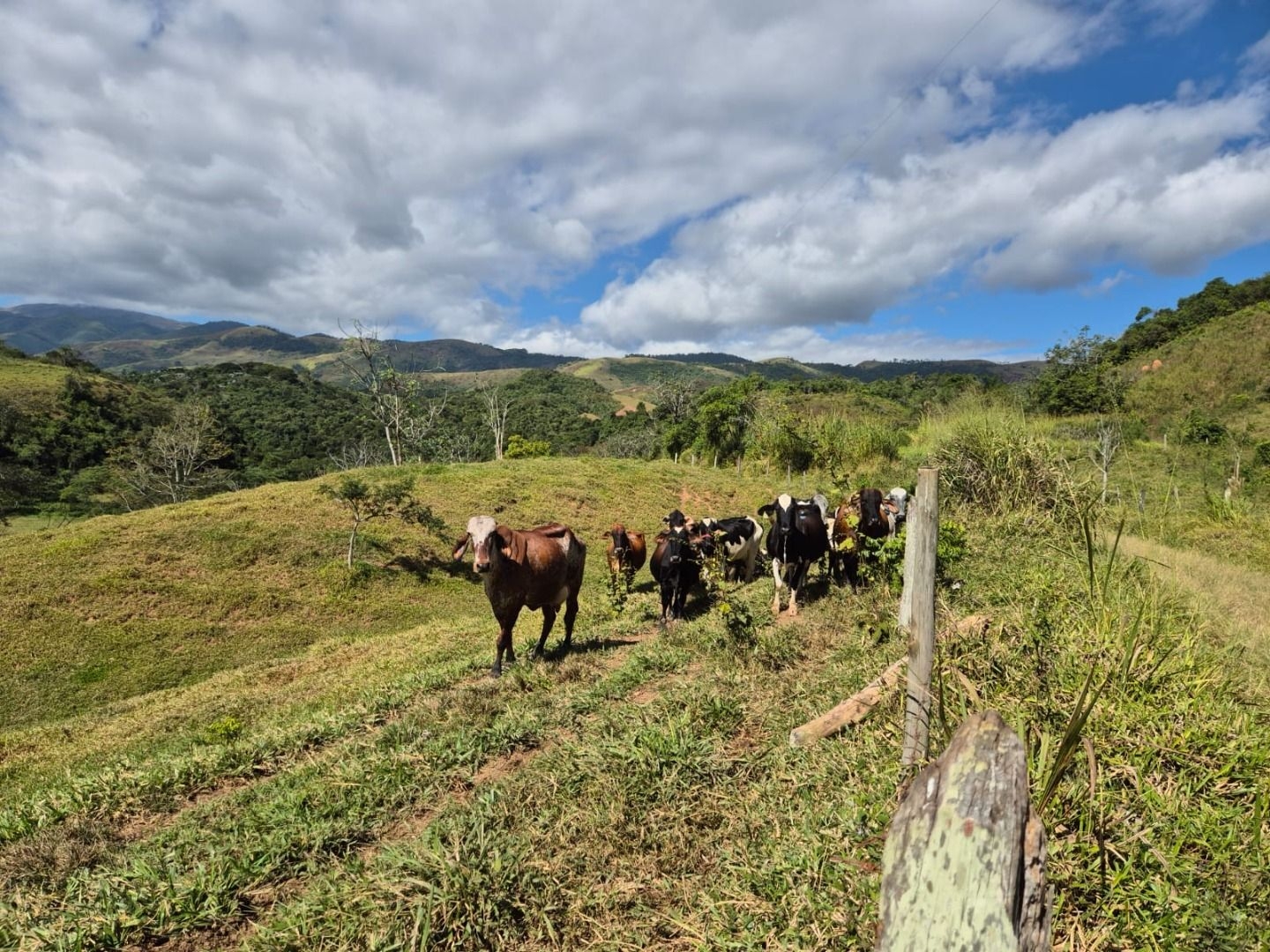 Sítio em Silveiras/São Paulo — Ref 5BQFXV — Imagem 22