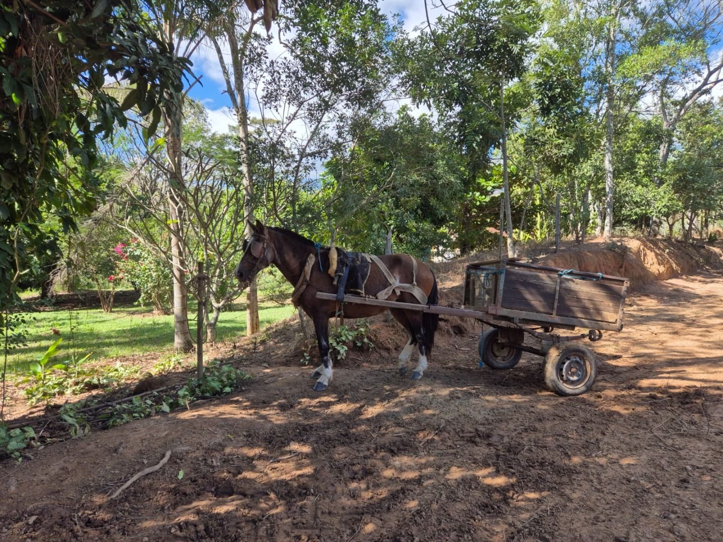 Sítio em Silveiras/São Paulo — Ref 5BQFXV — Imagem 24