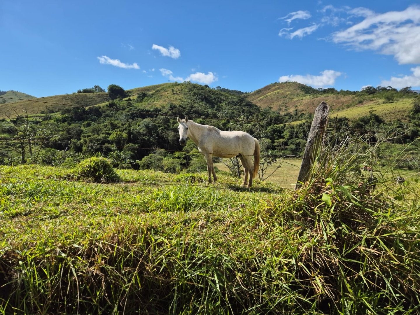 Sítio em Silveiras/São Paulo — Ref 5BQFXV — Imagem 25