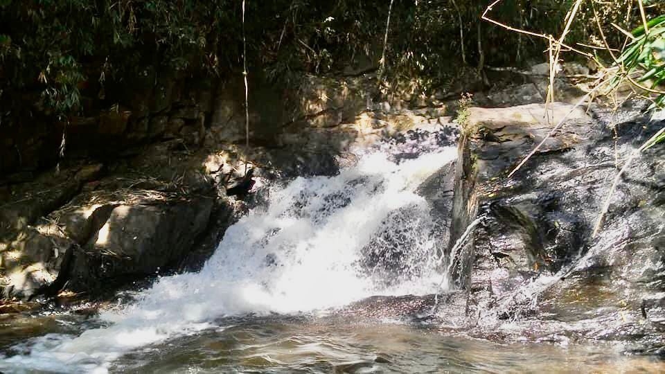 Fazenda-Sítio-Chácara, 100 m² - Foto 2