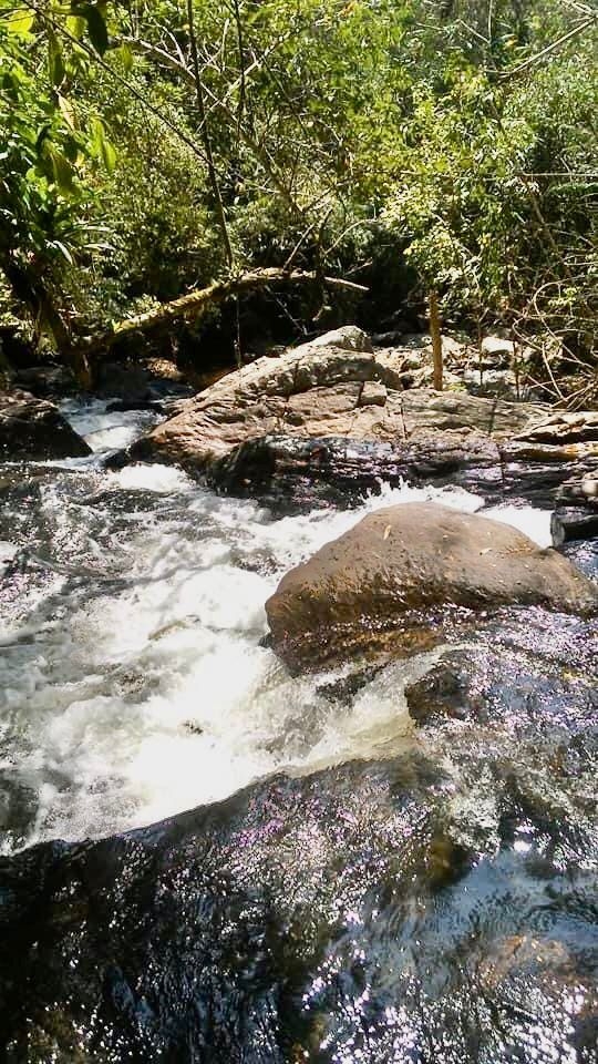 Fazenda-Sítio-Chácara, 100 m² - Foto 5