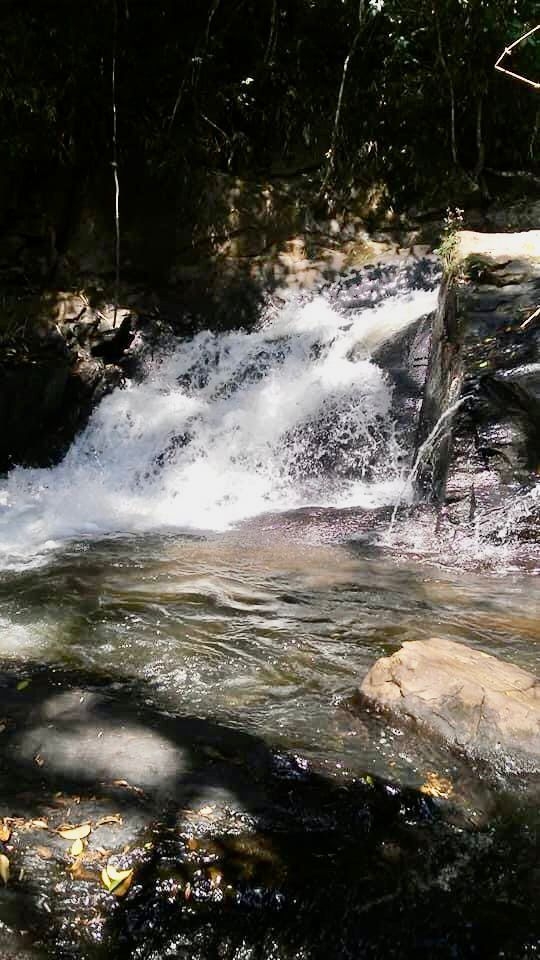 Fazenda-Sítio-Chácara, 100 m² - Foto 3